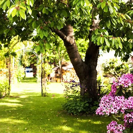 Apartment Hafenhaus Kapitaensdeck Waren (Müritz)